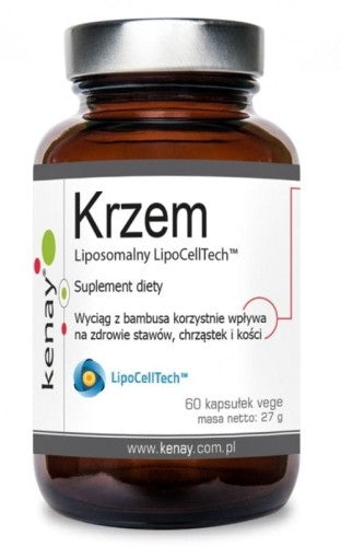 LIPOSOMAALINEN PII / LipoCellTech / 60 kaps.