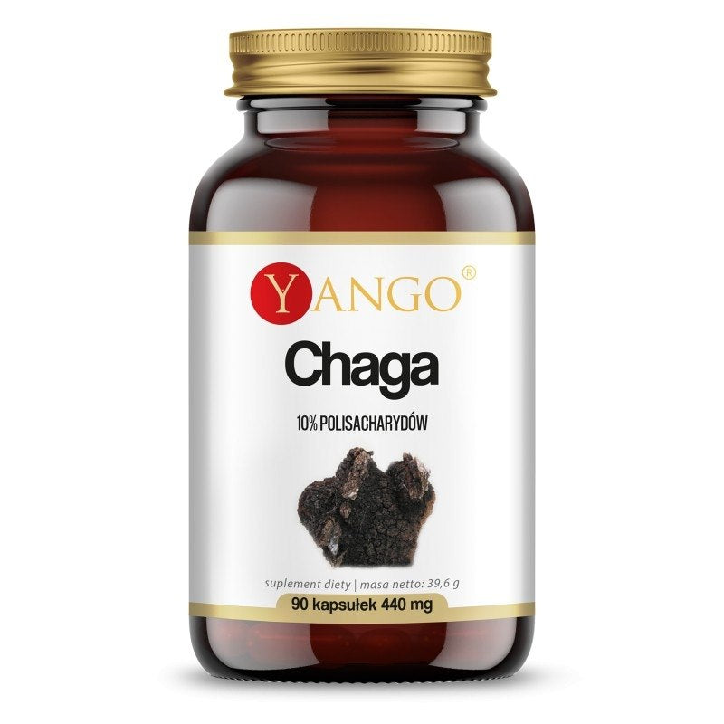 CHAGA / PAKURIKÄÄPÄUUTE / 10% / 90 kaps.