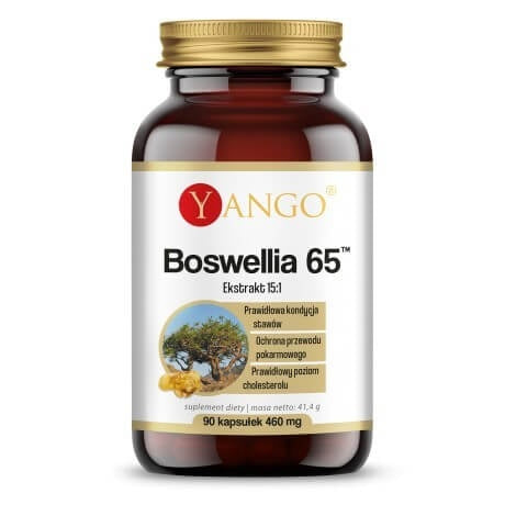 BOSWELLIA SERRATA-EKSTRAKT / 90 kapslit