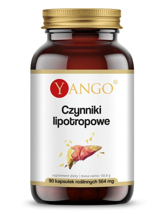 LIPOTROOPPISET TEKIJÄT / MYO-INOSITOLI + L-METIONIINI / 90 kaps.
