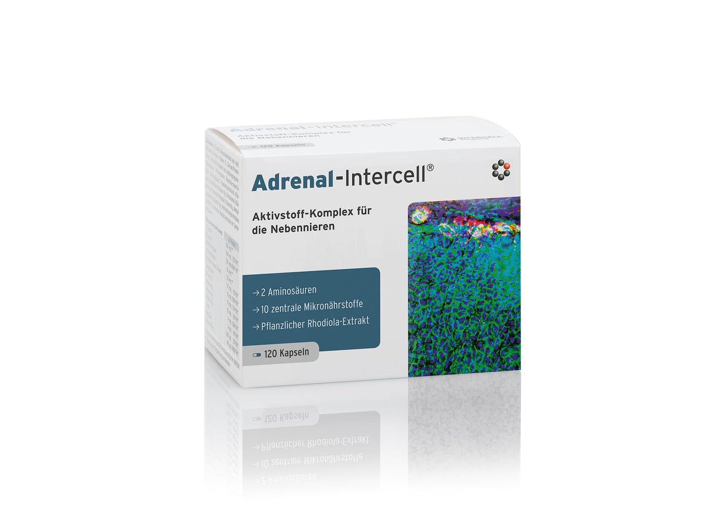 ADRENAL / KÖRPERGLEICHGEWICHT / 120 Kapseln