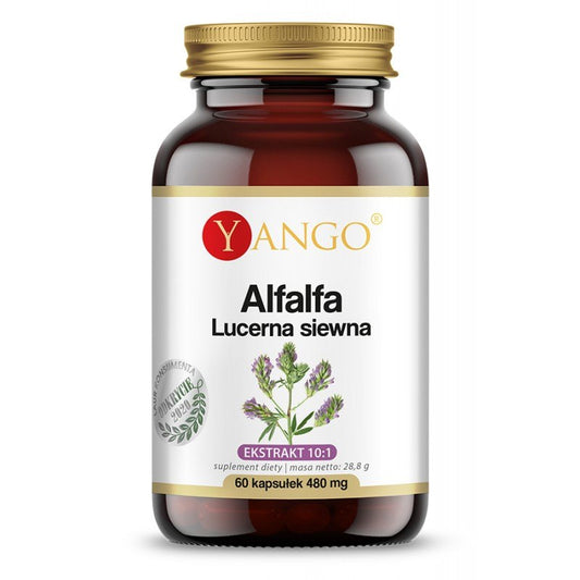 ALFALFA EXTRAKT / 60 kaps.