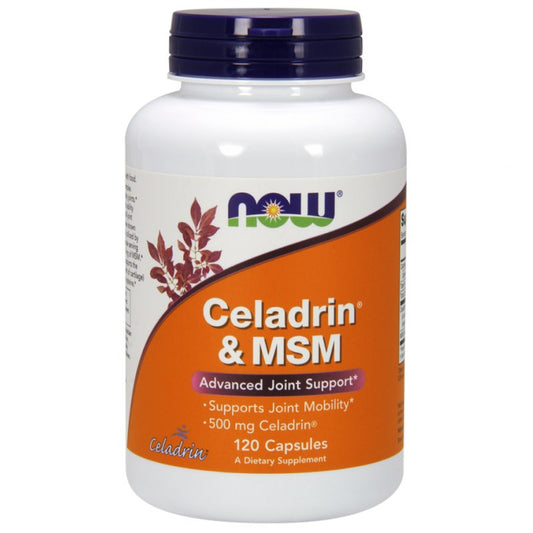 CELADRIN & MSM / 500 mg + 300 mg / 120 kaps.