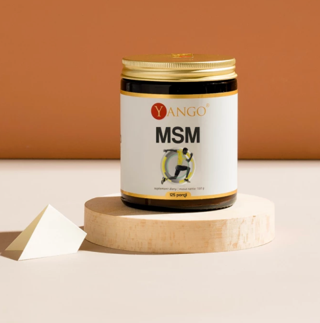 MSM-JAUHE / RIKKI / 1000 mg / 100 g