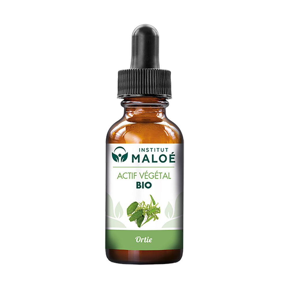 BIO BRENNNESSEL PFLANZENÖL/ 30 ML