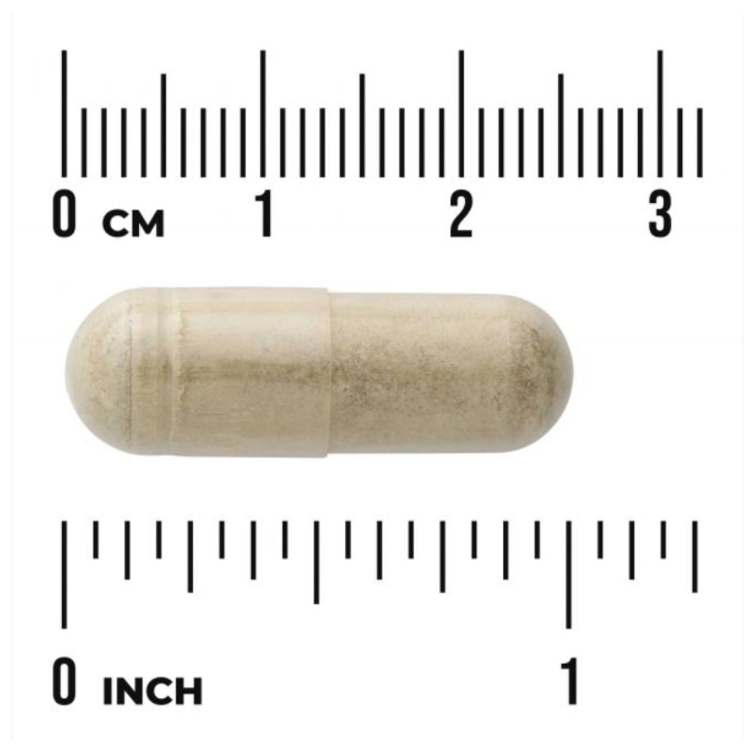 OLIIVINLEHTIUUTE / 750 mg / SUPERVAHVA / 60 kaps.