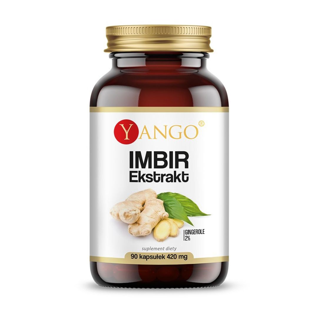 INKIVÄÄRI-UUTE / 2% GINGEROLEJA / 420 mg / 90 kaps.