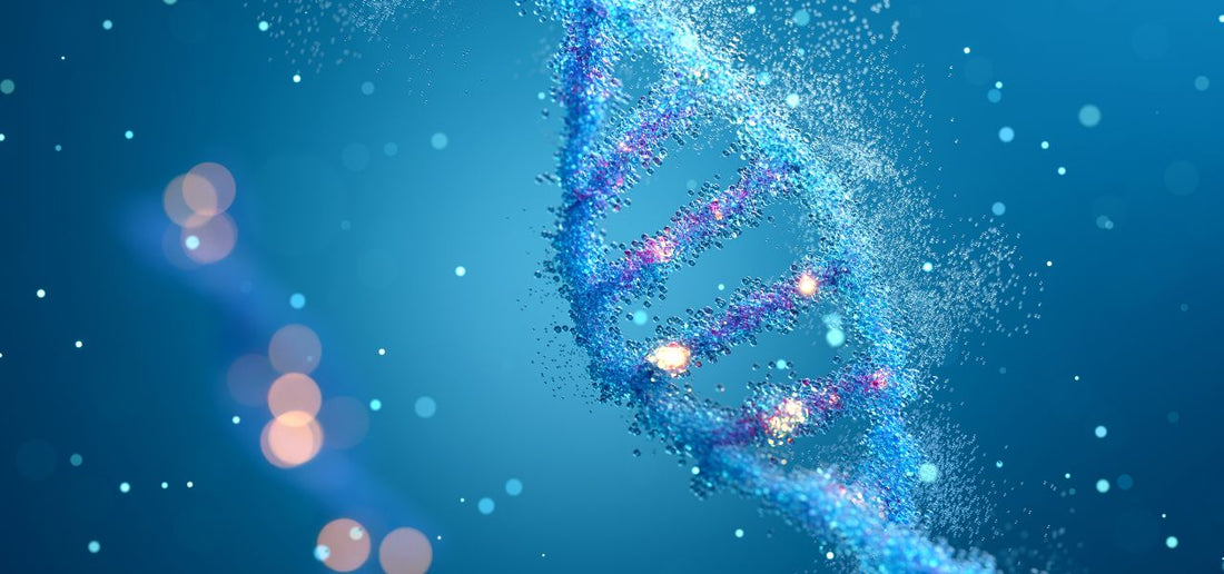 NAD+ ja NADH lisäravinteet – mitä ne ovat ja mitä hyötyä niistä on?