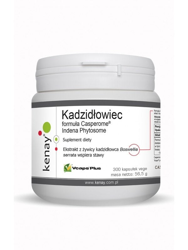 BOSWELLIA CASPEROME INDENA FYTOSOMI / 300 kaps.