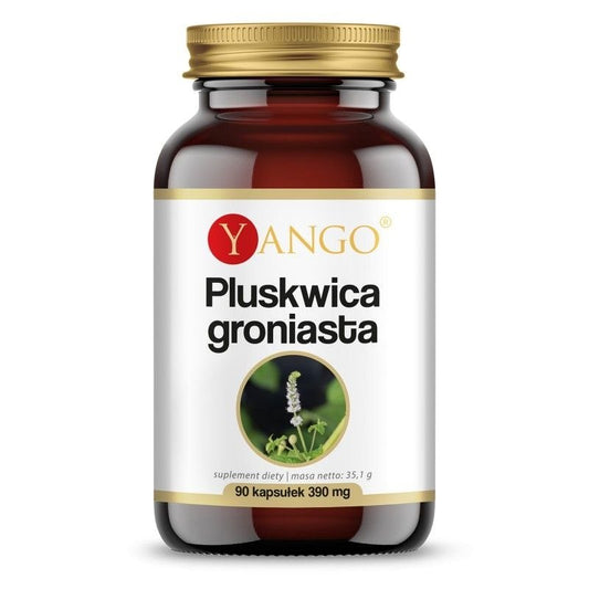 MUSTAKONNANMARJA-UUTE / 90 kaps.