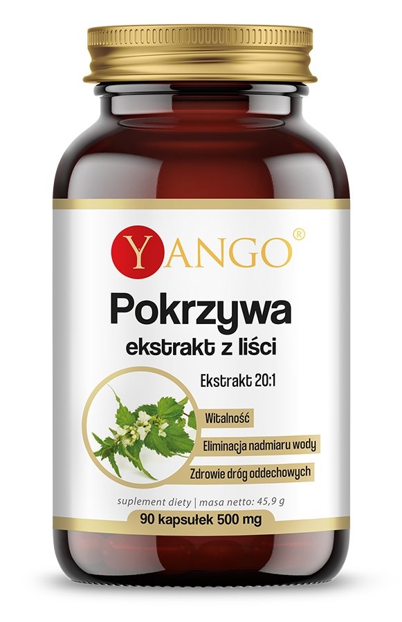 NOKKOSEN LEHTIUUTE / 90 kaps.