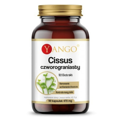 CISSUS QUADRANGULARIS-EXTRAKT / 90 Kapseln