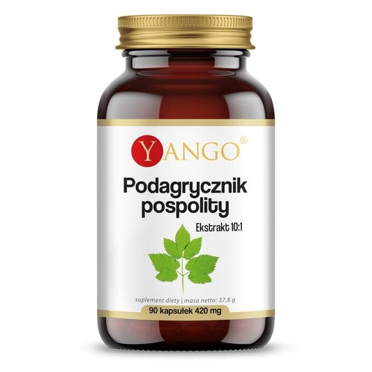 AEGOPODIUM PODAGRARIA / VUOHENPUTKI-UUTE / 90 kaps.