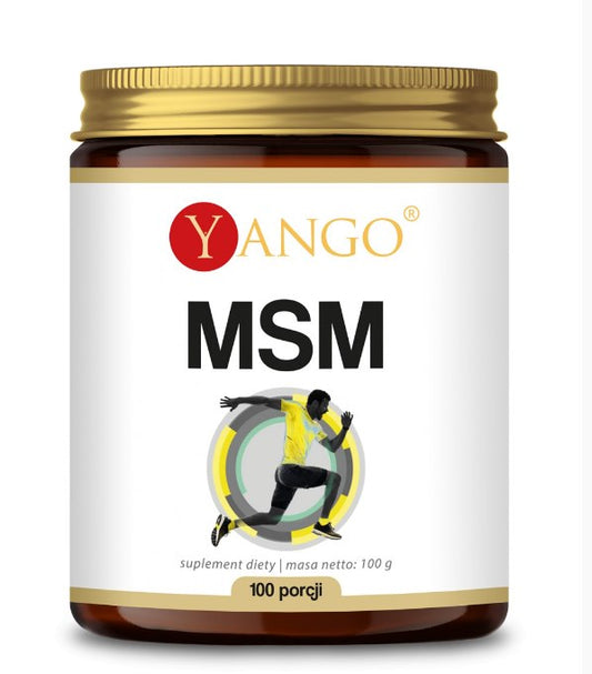 MSM / RIKKI / 100 g
