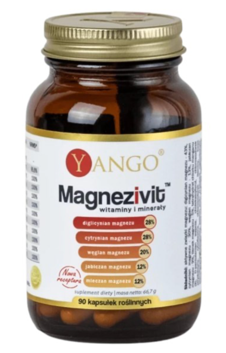 MAGNEZIVIT / MAGNESIUMIT + VITAMIINIT / 40 kpl