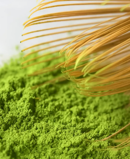MATCHA TEE / 45 g