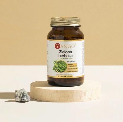 VIHREÄ TEE -UUTE / 95% POLYFENOLEITA / 300 mg / 90 kaps.