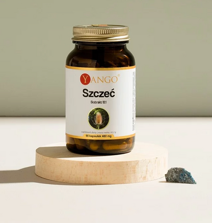 DIPSACUS SILVESTER / KARTTAOHDAKE / 90 kaps.