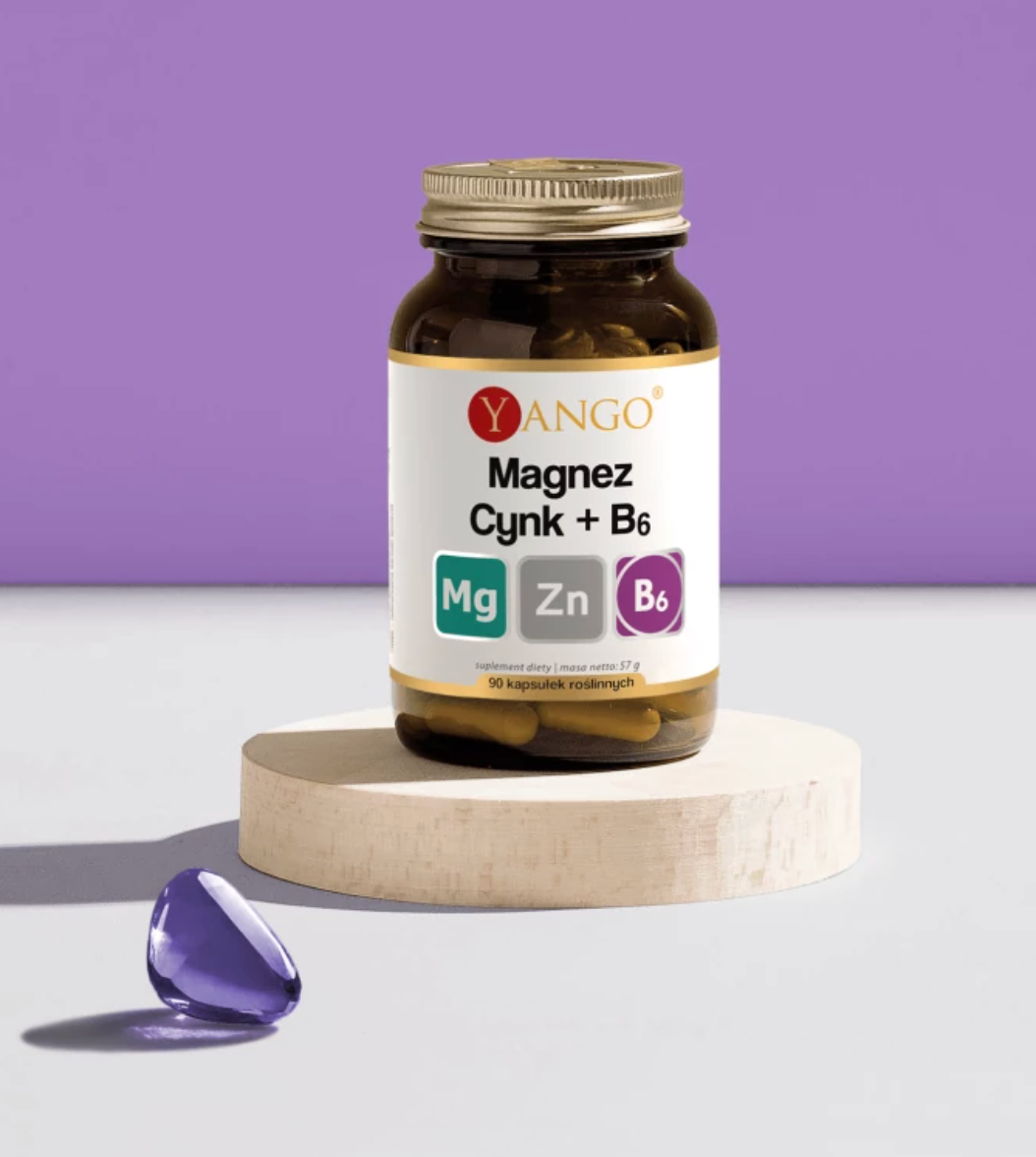 MAGNESIUM + SINKKI + B6 / 90 kaps.