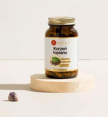 ARKTISEN TAKIAISEN-UUTE / 410 mg / 90 kaps.