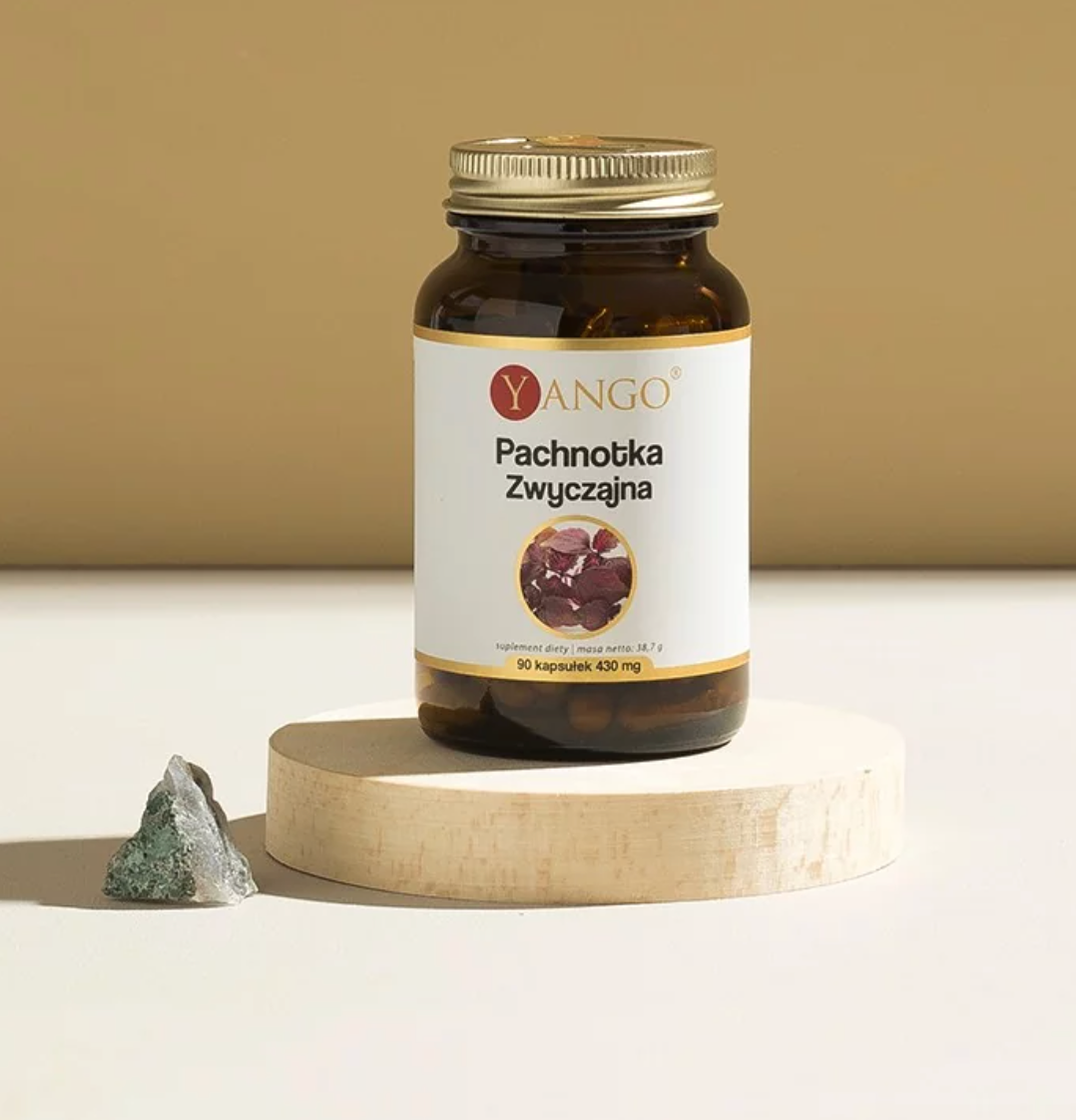 PERILLA FRUTESCENS -UUTE / 90 kaps.