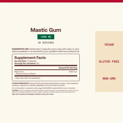 MASTIC GUM / 500 mg / SUOLISTOLLE / 60 vkaps.