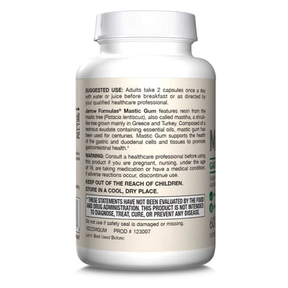 MASTIC GUM / 500 mg / SUOLISTOLLE / 60 vkaps.