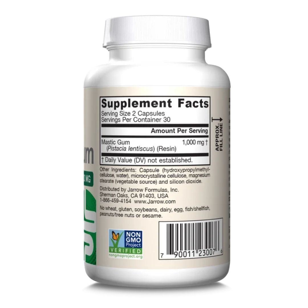 MASTIC GUM / 500 mg / SUOLISTOLLE / 60 vkaps.