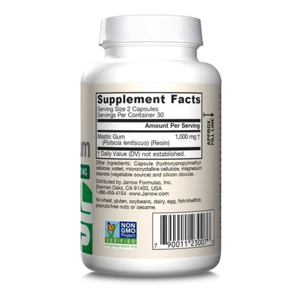 MASTIC GUM / 500 mg / SUOLISTOLLE / 60 vkaps.