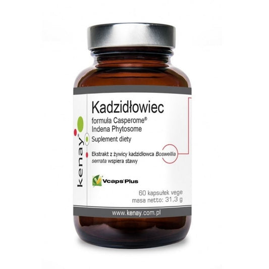 BOSWELLIA CASPEROME INDENA EXTRACT / 60 caps.
