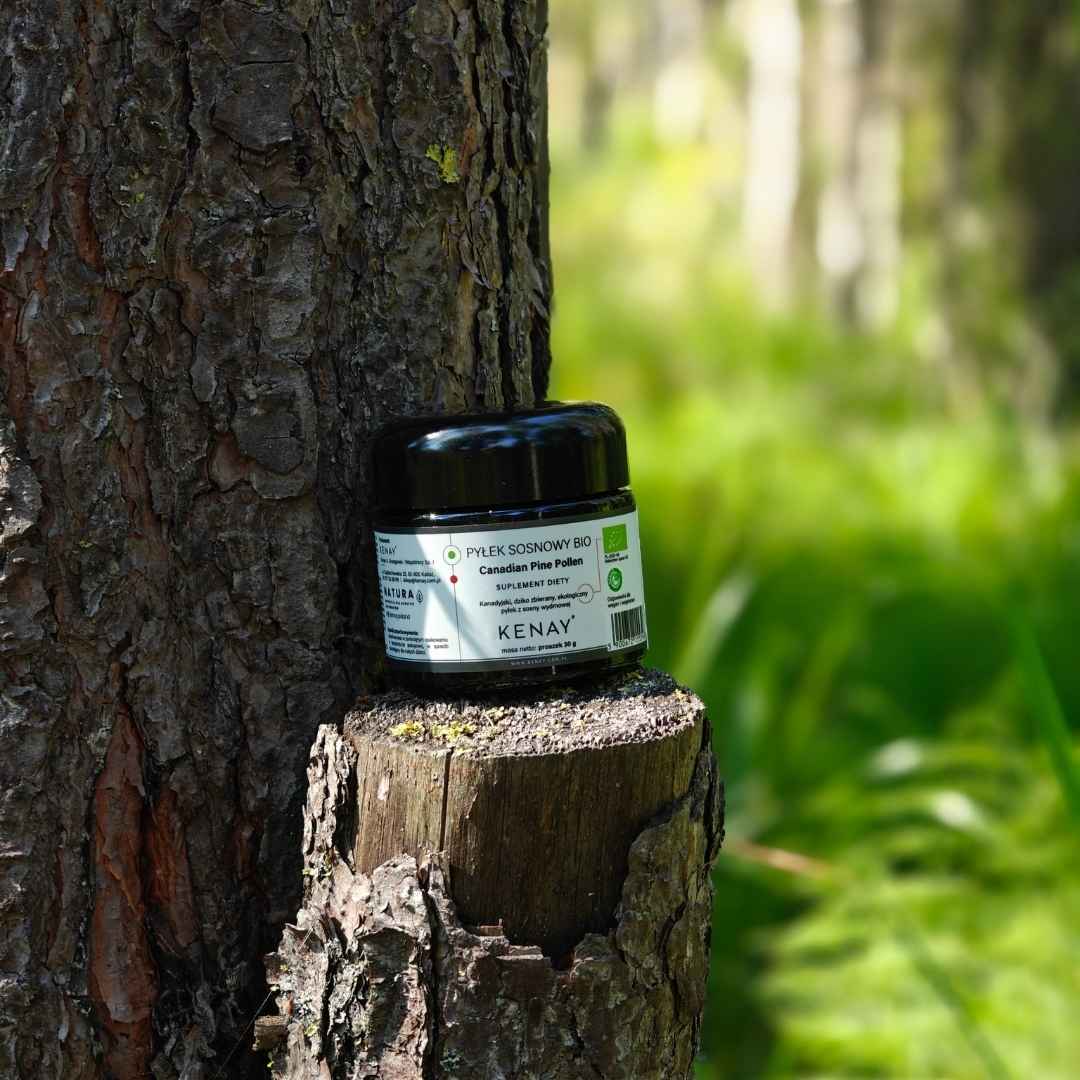 LUOMU KANADALAINEN MÄNNYN SIITEPÖLY / 30 g