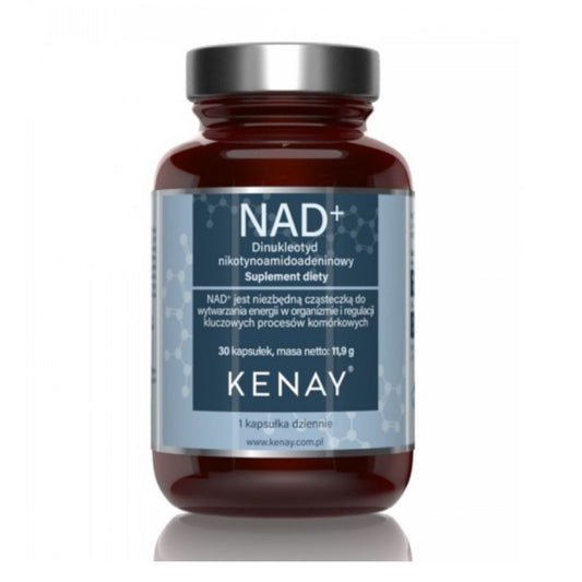NAD+ / NIKOTIINIAMIDI ADINIINIDINUKLEOTIDI / 30 kaps.