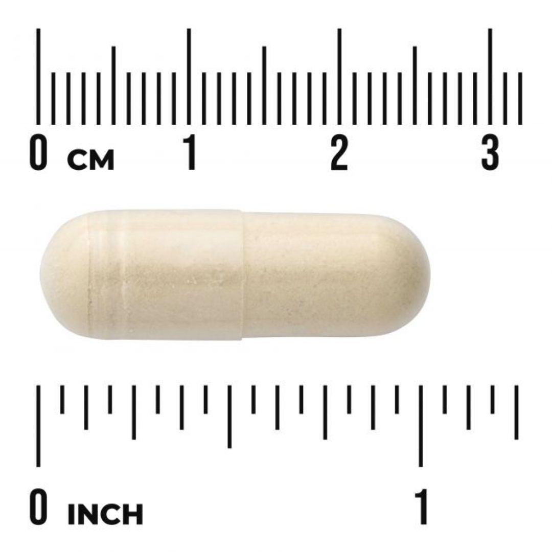 DIOSMIINI & HESPERIDIINI / 500 mg + 100 mg / 60 kaps.