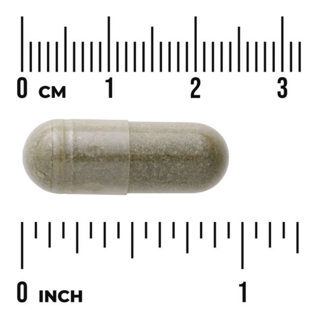TÄYDEN SPEKTRIN VIHERMINTUN LEHTI / 400 mg / 60 kaps.