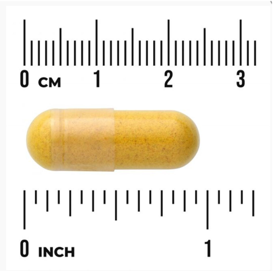 TÄYDEN SPEKTRIN KURKUMA / 720 mg / 100 kaps.