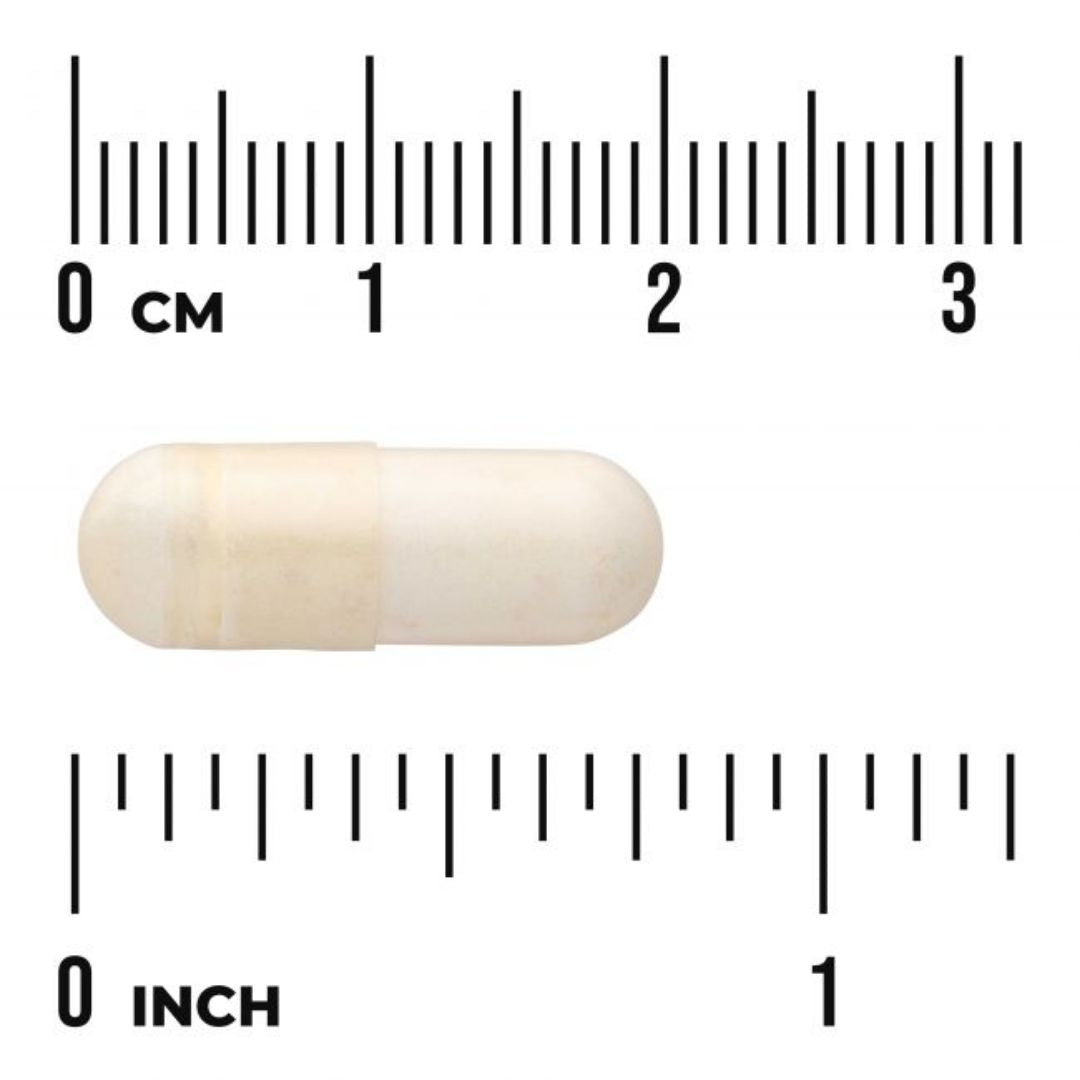L.PLANTARUM / INTESTINAL SUPPORT / 30 vcaps.