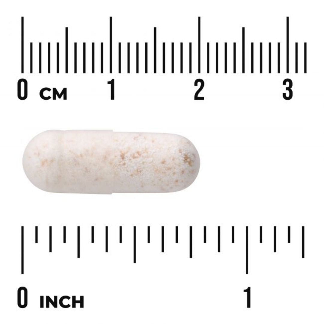 LACTOBACILLUS GASSERI / 3 MILJARDIA / 60 vkaps.