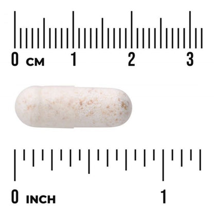 LACTOBACILLUS GASSERI / 3 MILJARDIA / 60 vkaps.