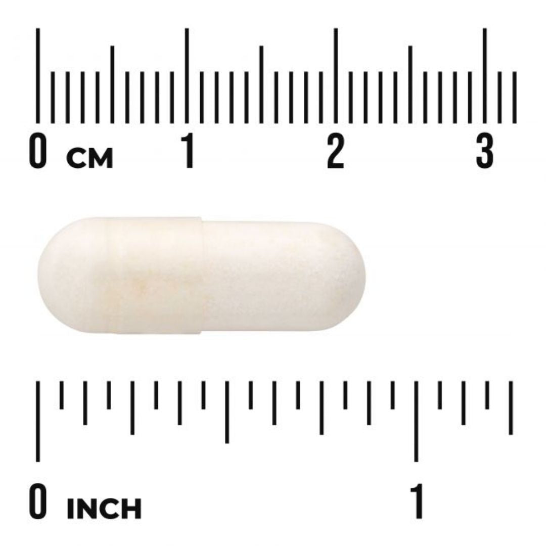 LACTOBACILLUS REUTERI PLUS / 30 vcaps.