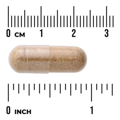 ROHTOSALKORUUSUJUURI / 500 mg / 90 kaps.