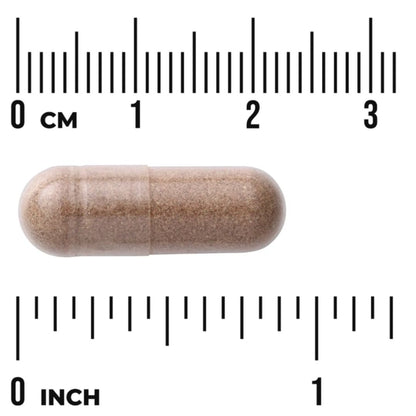 SAHAPALMU / 540 mg / 100 kaps.