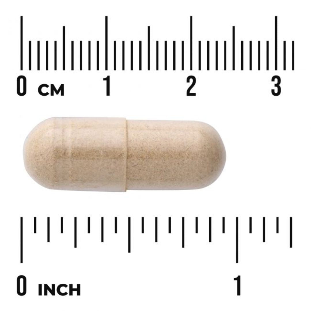 TÄYDEN SPEKTRIN ASHWAGANDHA / 450 mg / 100 kaps.