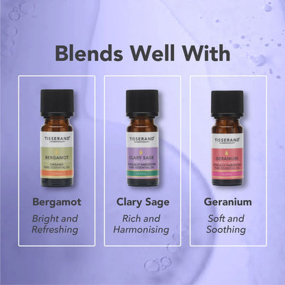 ETEERINEN ÖLJY / LUOMU LAVENTELI / 20 ml