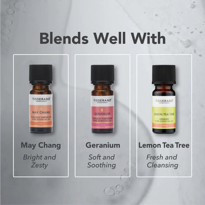 ETEERINEN ÖLJY / LUOMU MUSTAPIPPURI / 9 ml