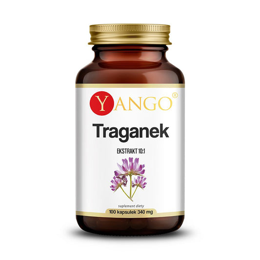 ASTRAGALUS UUTE / 100 kaps.