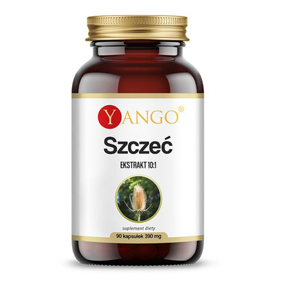 DIPSACUS SILVESTER / KARTTAOHDAKE / 90 kaps.